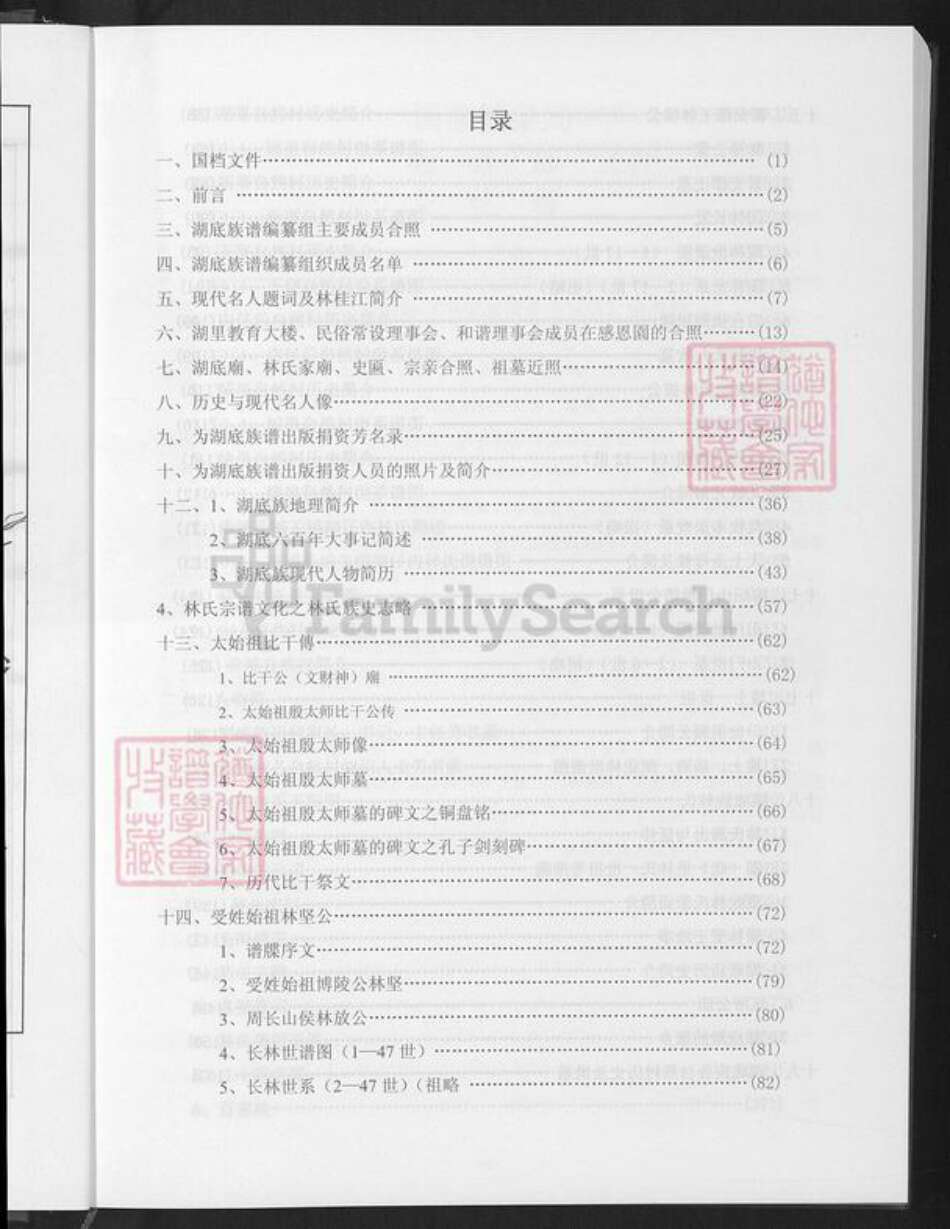 福建省漳州市漳浦县杜浔镇林氏族谱-湖底林氏族谱.pdf电子版预览图3