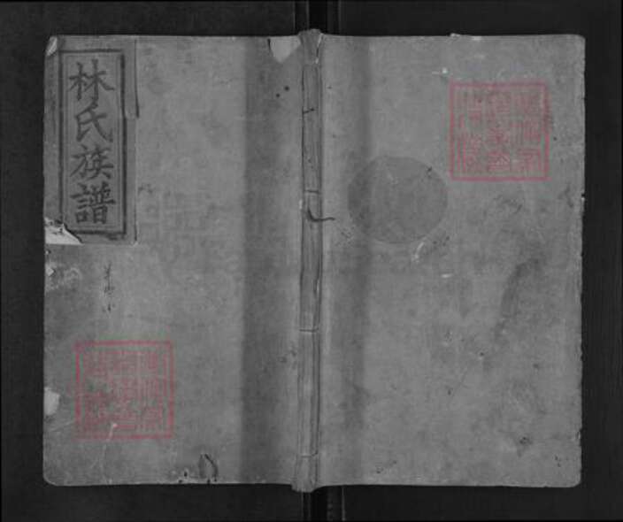 湖南省邵阳市新宁县麻林瑶族乡林氏九牧堂族谱-林氏族谱.pdf电子版缩略图