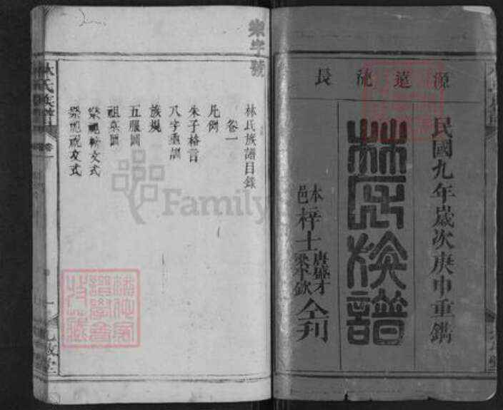 湖南省邵阳市新宁县麻林瑶族乡林氏九牧堂族谱-林氏族谱.pdf电子版预览图1