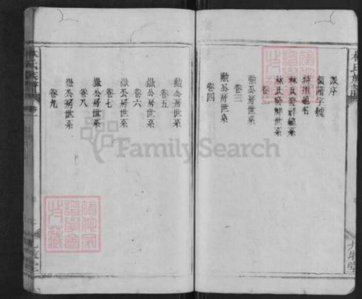 湖南省邵阳市新宁县麻林瑶族乡林氏九牧堂族谱-林氏族谱.pdf电子版预览图2