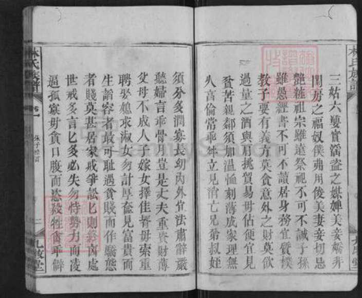 湖南省邵阳市新宁县麻林瑶族乡林氏九牧堂族谱-林氏族谱.pdf电子版预览图4