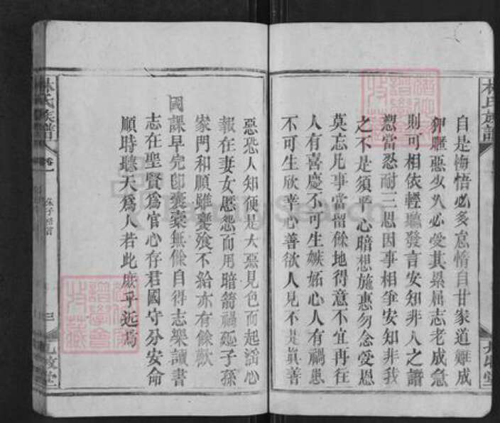 湖南省邵阳市新宁县麻林瑶族乡林氏九牧堂族谱-林氏族谱.pdf电子版预览图5