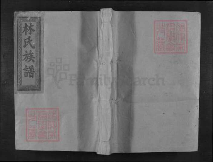 江西省抚州市乐安县增田镇林氏族谱-西河林氏族谱.pdf电子版缩略图