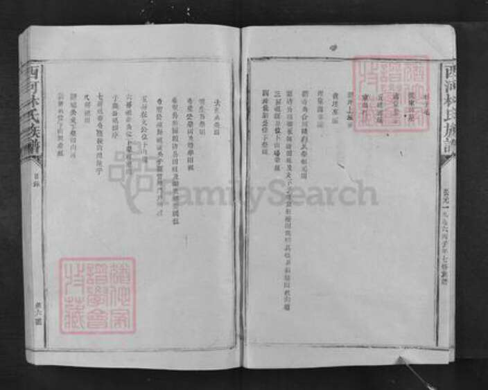 江西省抚州市乐安县增田镇林氏族谱-西河林氏族谱.pdf电子版预览图5