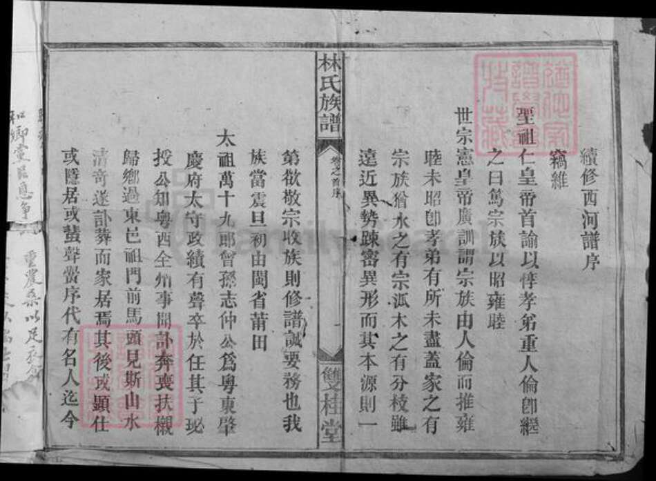 湖南省株洲市醴陵市泗汾镇林氏双桂堂族谱-林氏族谱.pdf电子版预览图2