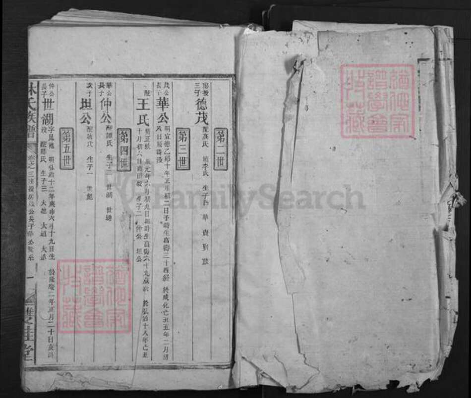 湖南省株洲市醴陵市泗汾镇林氏双桂堂族谱-林氏族谱.pdf电子版预览图3