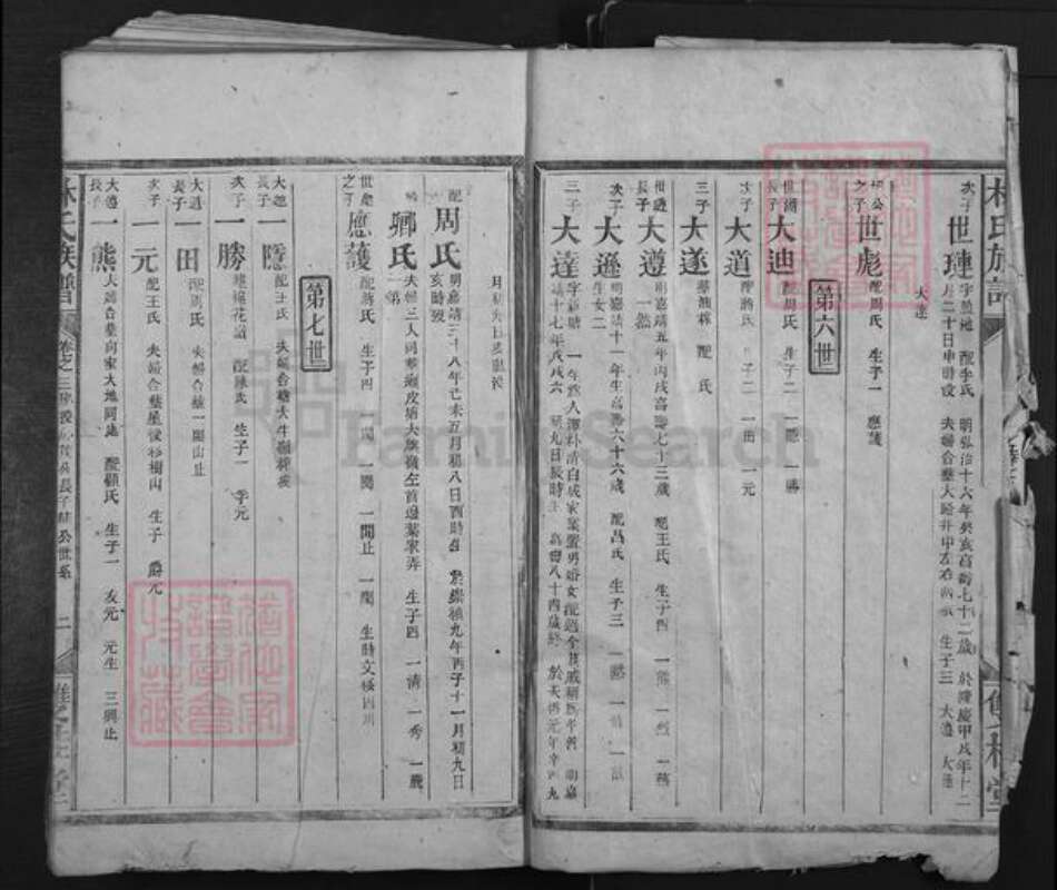 湖南省株洲市醴陵市泗汾镇林氏双桂堂族谱-林氏族谱.pdf电子版预览图4