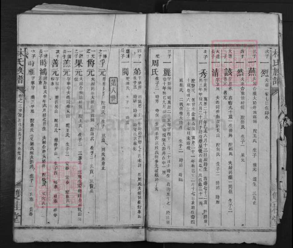 湖南省株洲市醴陵市泗汾镇林氏双桂堂族谱-林氏族谱.pdf电子版预览图5