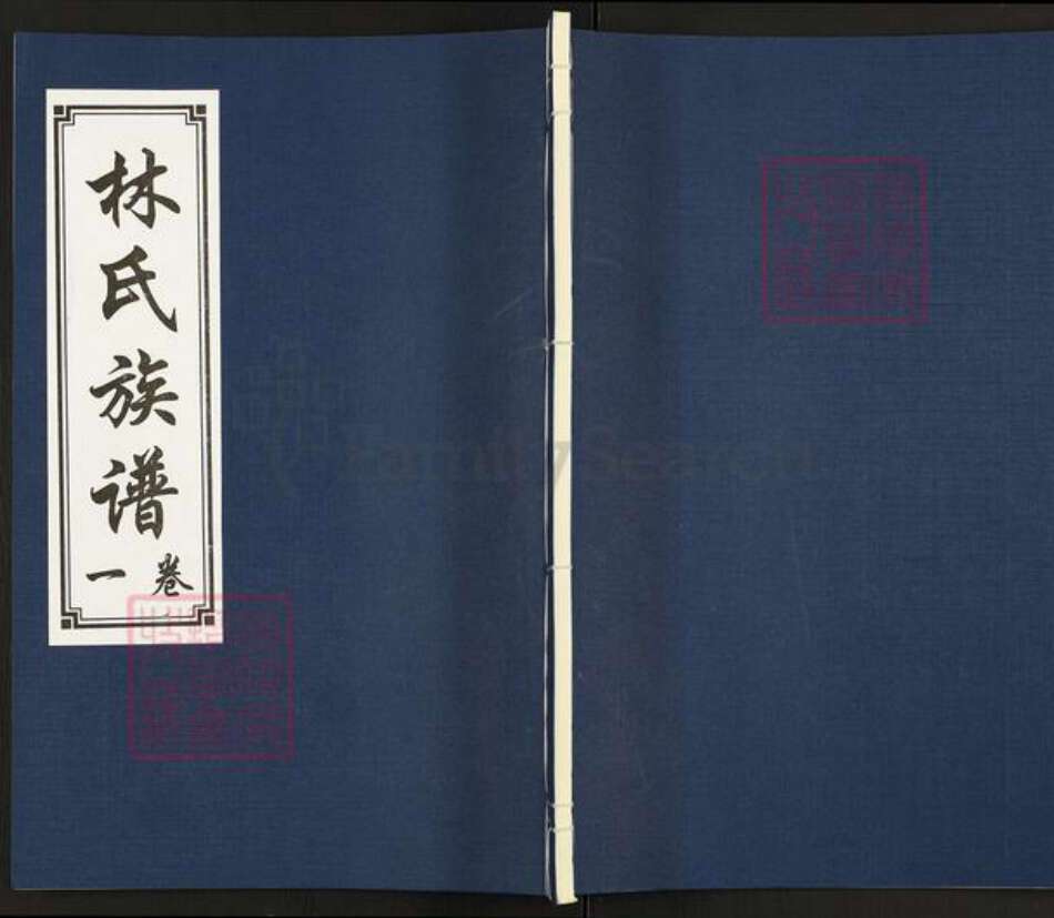 山东省济宁市汶上县汶上街道林氏问礼堂族谱-林氏族谱.pdf电子版缩略图