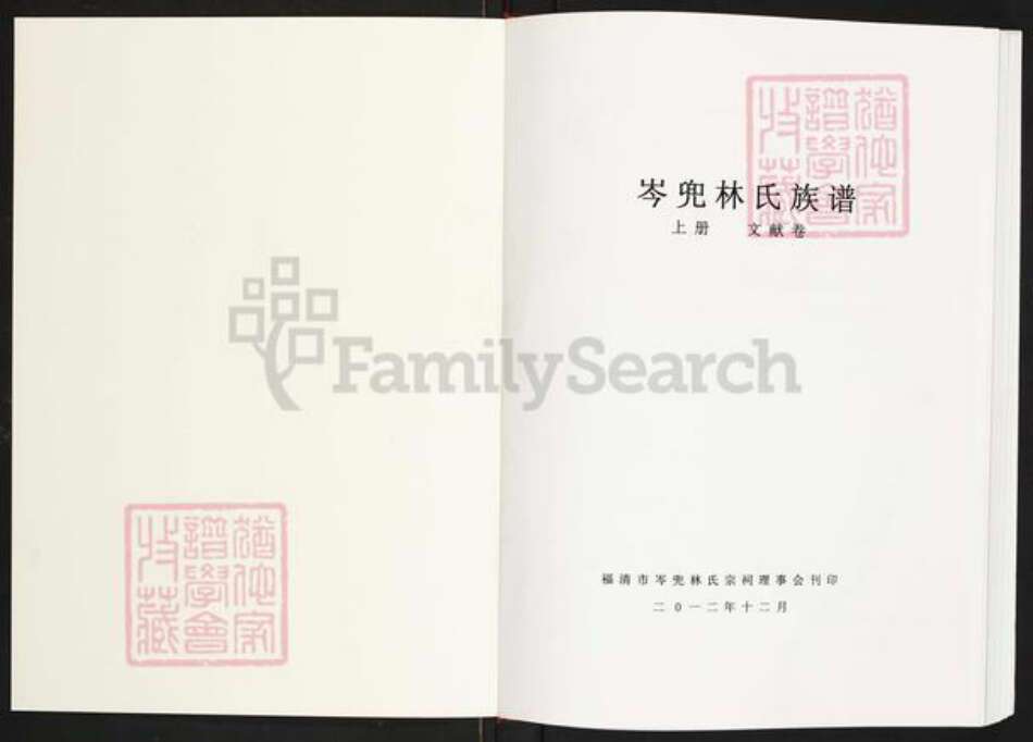 福建省福州市福清市海口镇林氏族谱-岑兜林氏族谱.pdf电子版预览图1