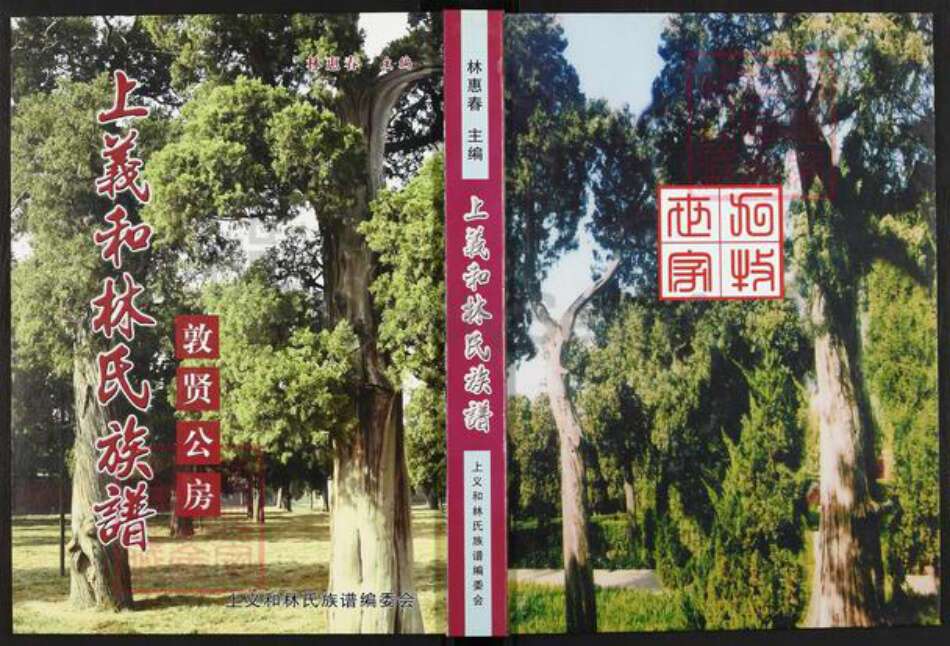 广东省揭阳市榕城区林氏世德堂族谱-上义和林氏族谱.敦贤公房.pdf电子版缩略图