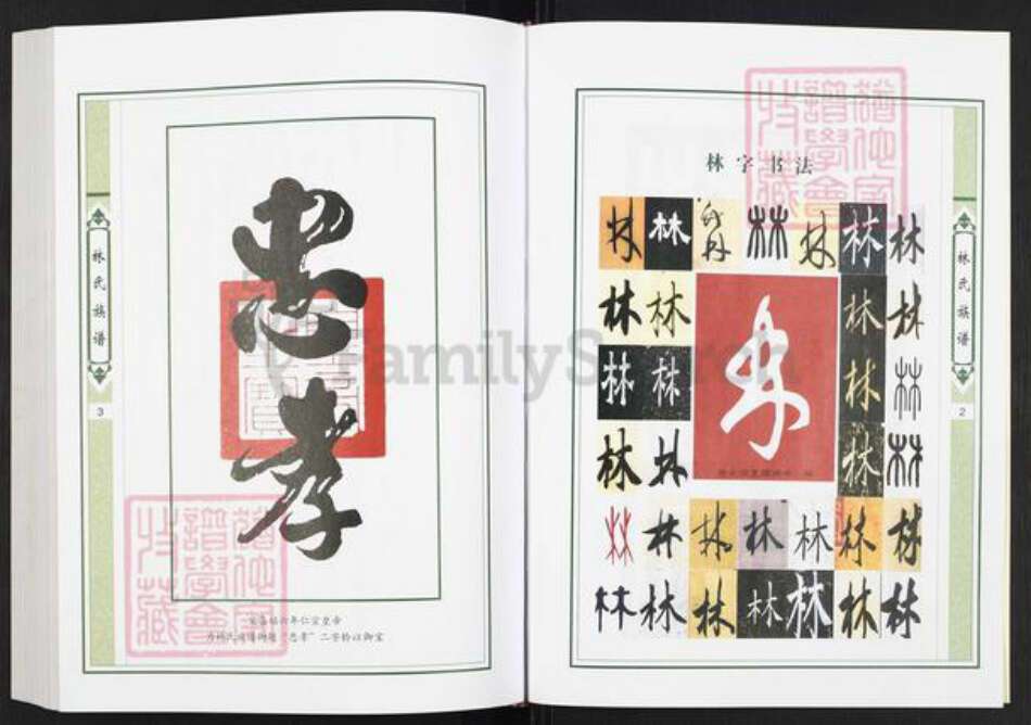 广东省揭阳市榕城区林氏世德堂族谱-上义和林氏族谱.敦贤公房.pdf电子版预览图3