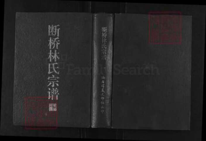 浙江省台州市仙居县仙居林氏族谱-断桥林氏宗谱.pdf电子版缩略图