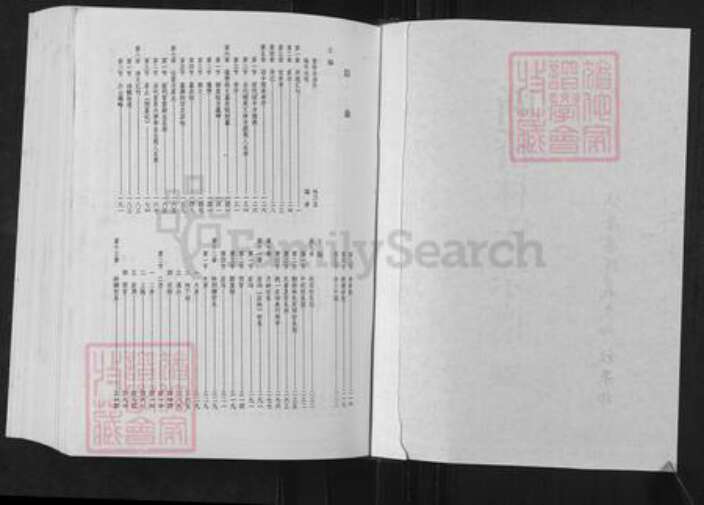 浙江省台州市仙居县仙居林氏族谱-断桥林氏宗谱.pdf电子版预览图2