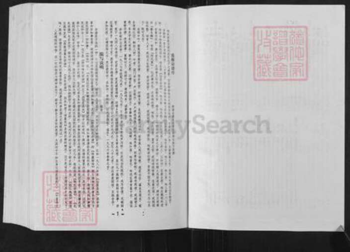 浙江省台州市仙居县仙居林氏族谱-断桥林氏宗谱.pdf电子版预览图4