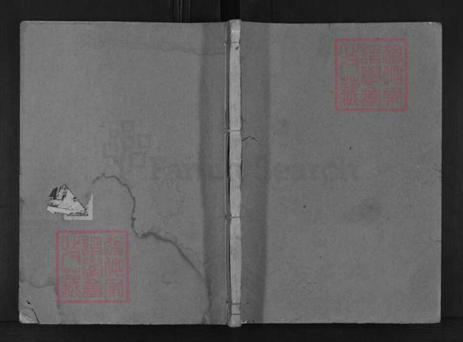 浙江省金华市婺城区林氏敦本堂族谱-西河林氏宗谱.pdf电子版缩略图