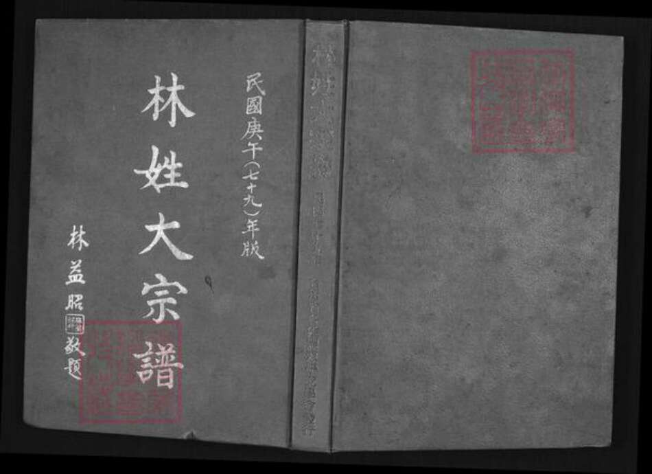 广东省潮州市饶平县饶洋镇林氏族谱-林姓大宗谱.pdf电子版缩略图