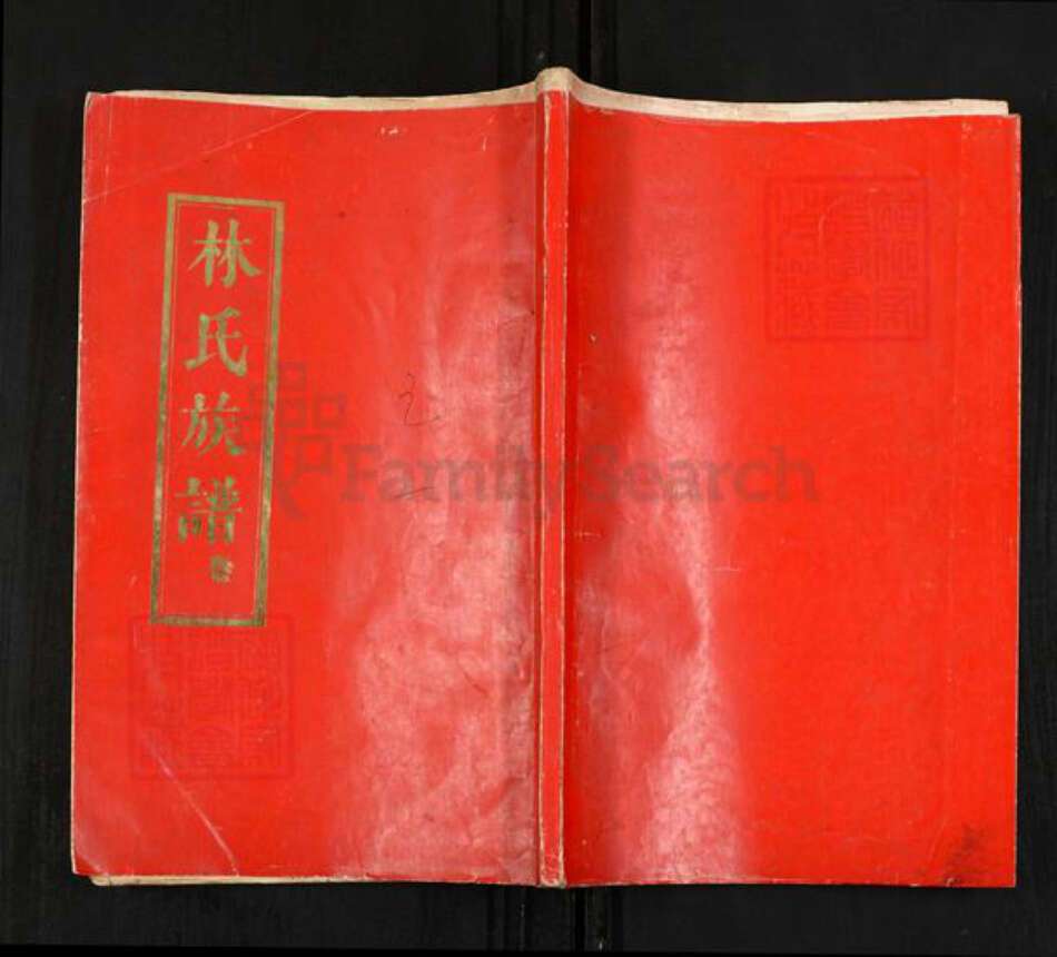 湖北省黄冈市浠水县巴河镇林氏十德堂族谱-林氏族谱.pdf电子版缩略图