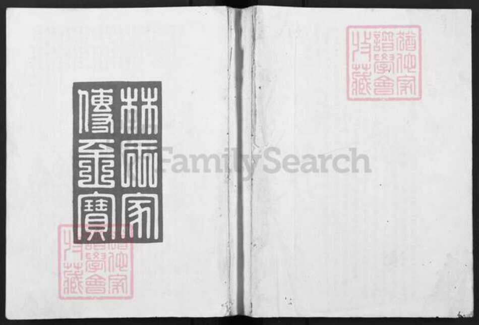 福建省福建省林氏族谱-林氏蕃衍迁徙渊源谱.pdf电子版缩略图