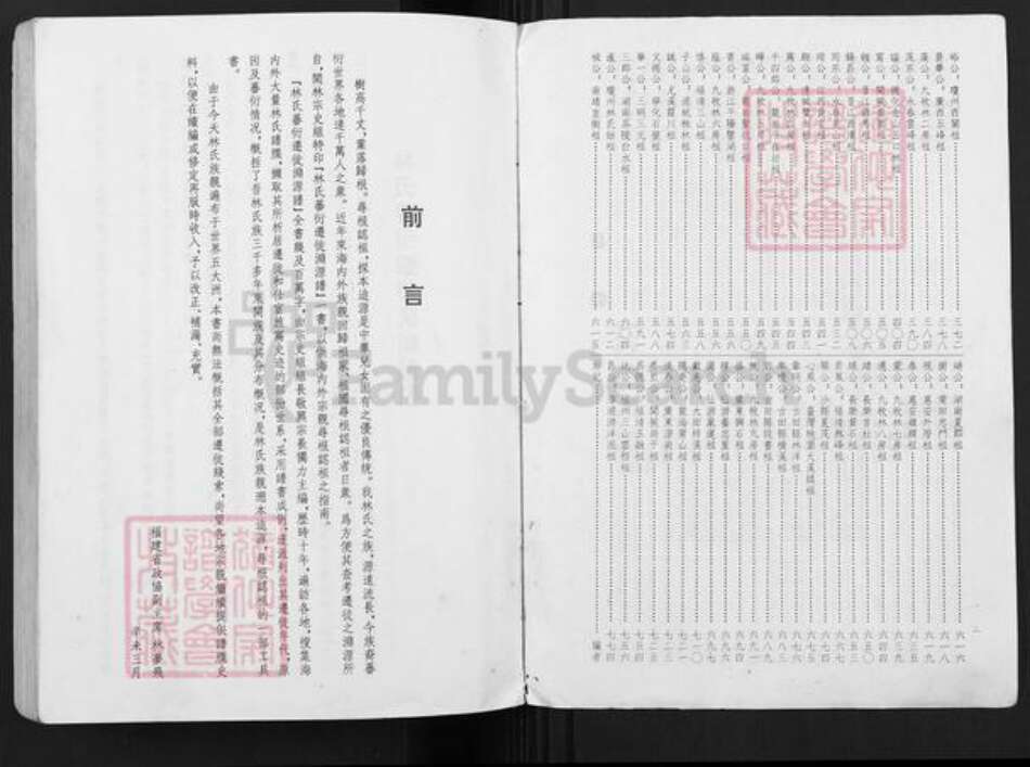 福建省福建省林氏族谱-林氏蕃衍迁徙渊源谱.pdf电子版预览图2