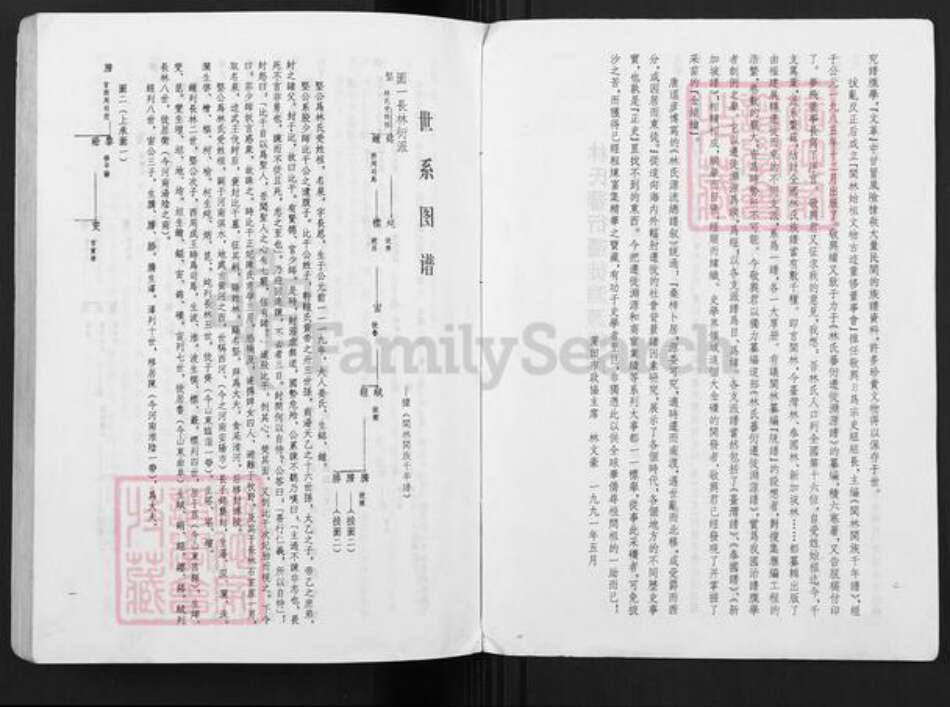 福建省福建省林氏族谱-林氏蕃衍迁徙渊源谱.pdf电子版预览图4