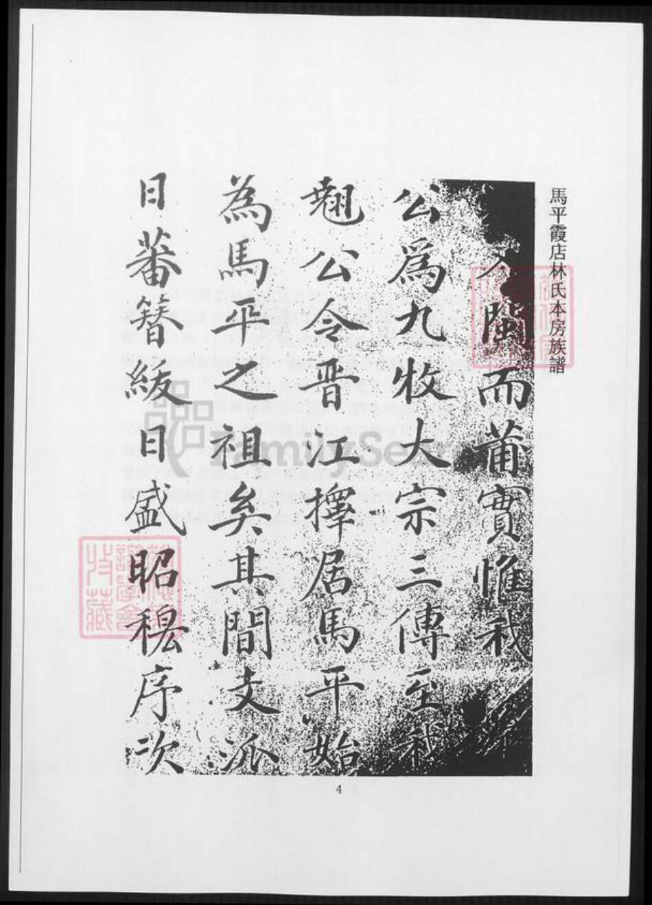 福建省泉州市南安市林氏族谱-台湾文献汇刊. 马平霞店林氏本房族谱.pdf电子版预览图5