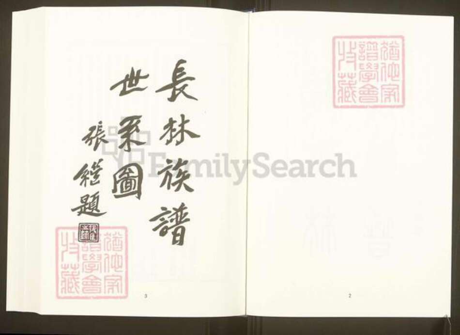 福建省福州市松下镇福建省福州市福清市林氏族谱-中国珍稀家谱丛刊.福州族谱丛刊.第20~26册.陶江林氏族谱.pdf电子版预览图3