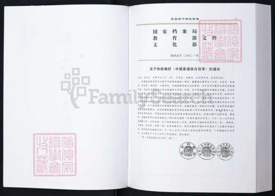 福建省莆田市林氏族谱-东庄阙下林氏族谱.pdf电子版预览图2