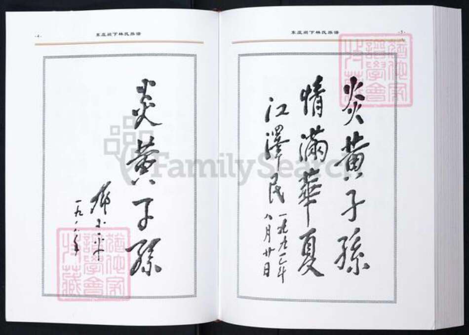 福建省莆田市林氏族谱-东庄阙下林氏族谱.pdf电子版预览图4