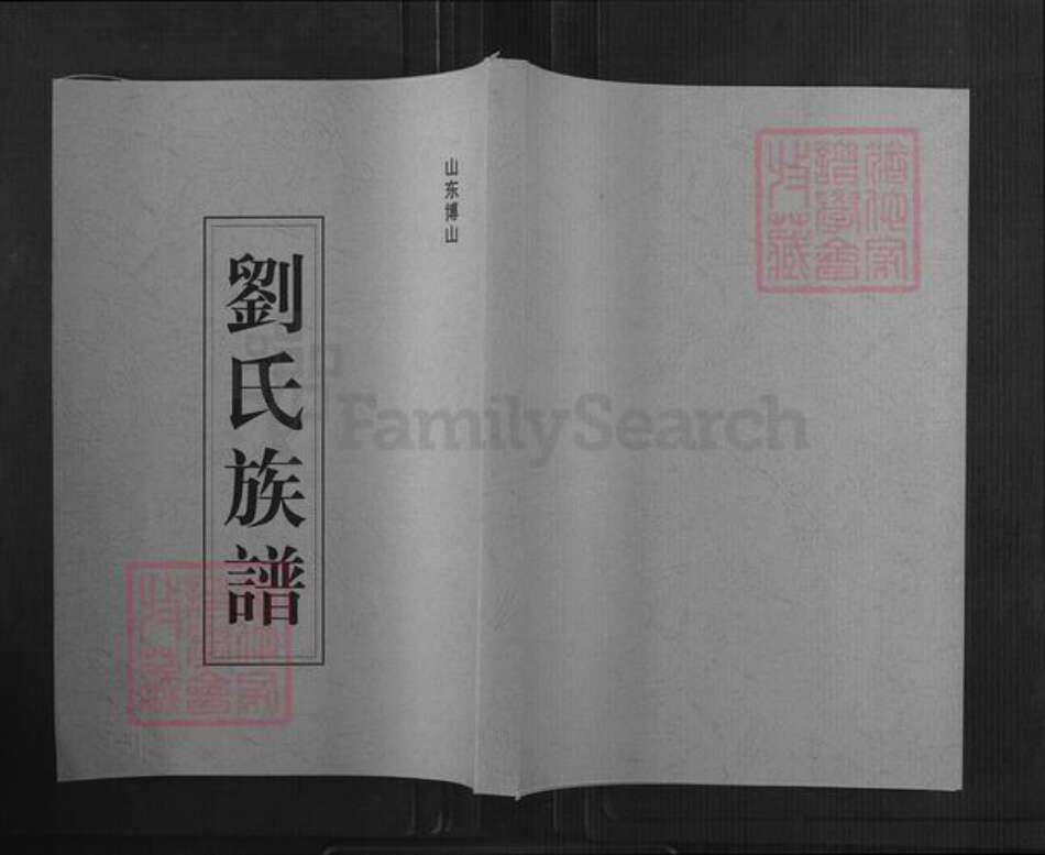 山东省淄博市博山区刘氏族谱-刘氏族谱.博山支系.pdf电子版缩略图