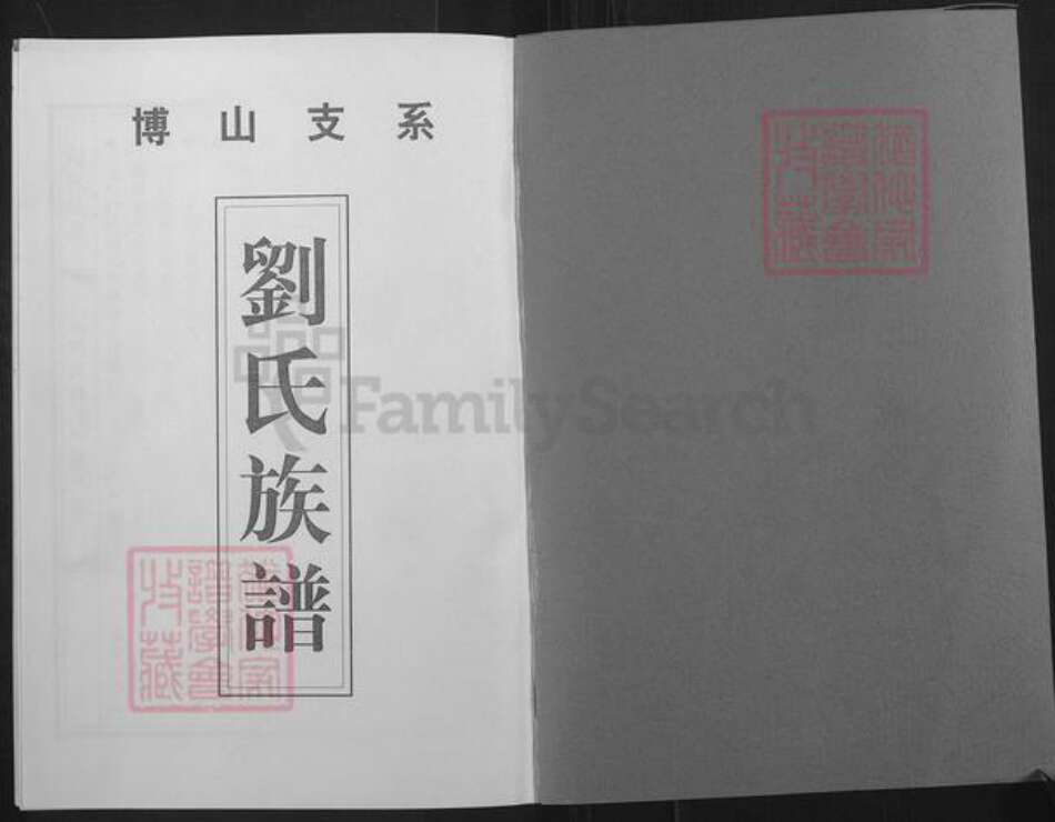 山东省淄博市博山区刘氏族谱-刘氏族谱.博山支系.pdf电子版预览图1