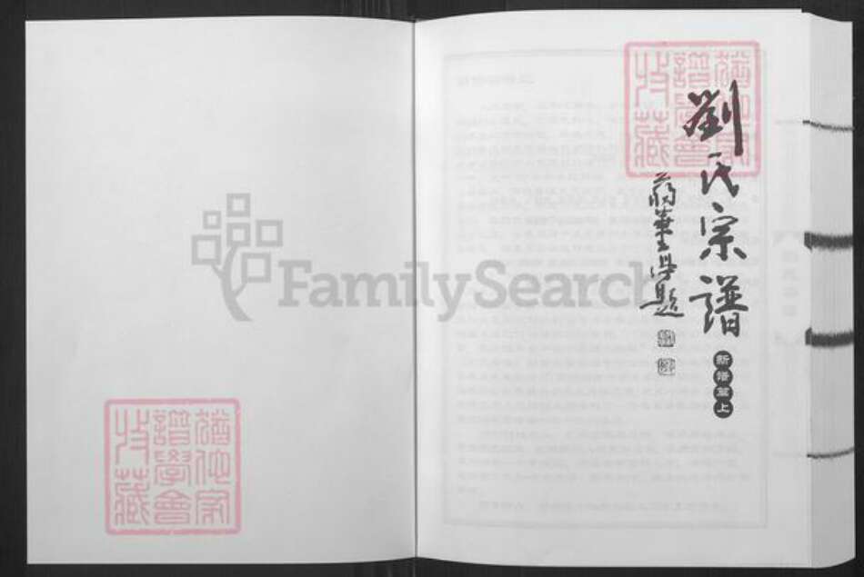 山东省潍坊市青州市弥河镇刘氏族谱-刘氏宗谱.pdf电子版预览图1