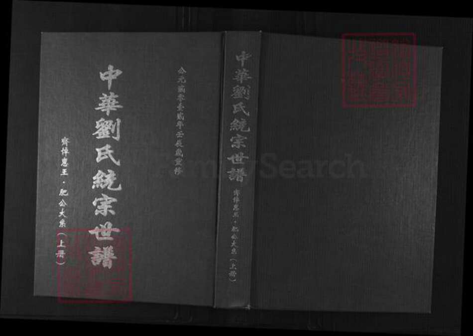 江苏省徐州市沛县刘氏汉祚堂族谱-中华刘氏统宗世谱.齐悼惠王.肥公大系.pdf电子版缩略图