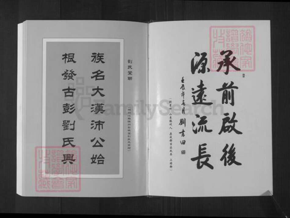 江苏省徐州市沛县刘氏汉祚堂族谱-中华刘氏统宗世谱.齐悼惠王.肥公大系.pdf电子版预览图3