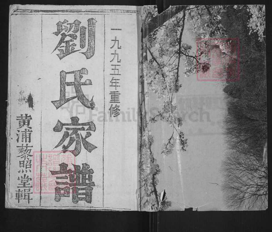 江苏省盐城市响水县运河镇刘氏藜照堂族谱-刘氏家谱.pdf电子版预览图1