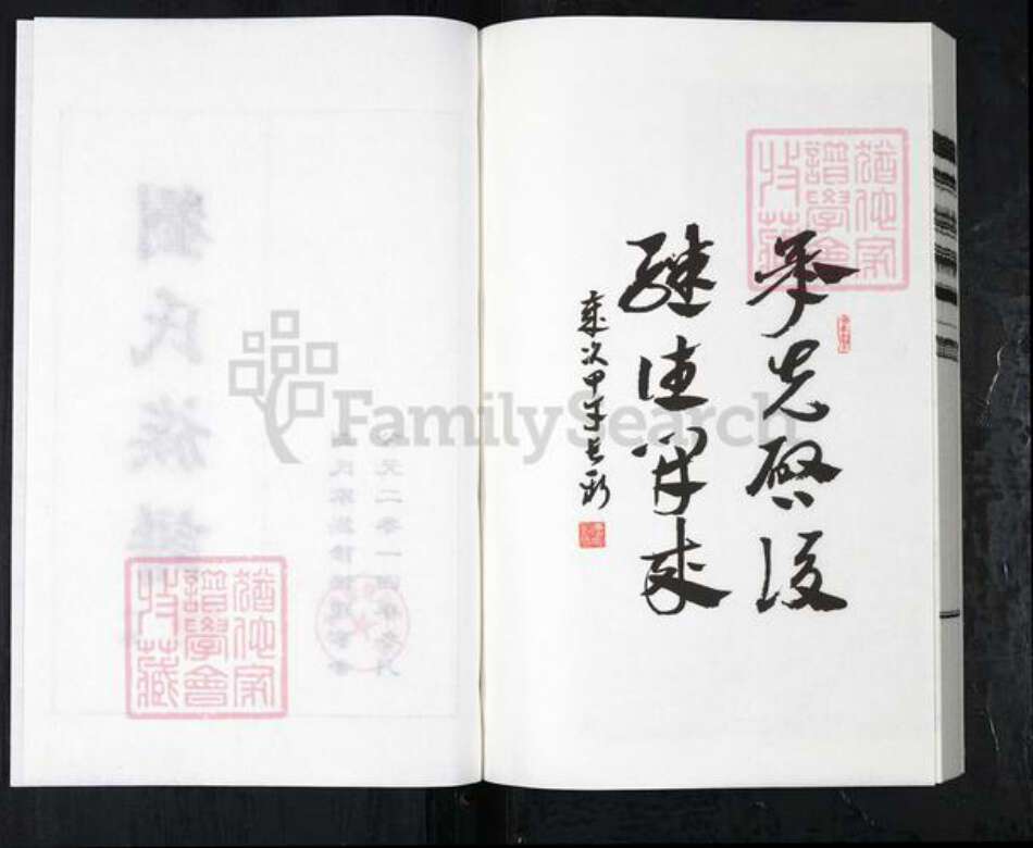 河北省沧州盐山县盐山镇刘氏族谱-刘氏族谱.pdf电子版预览图2