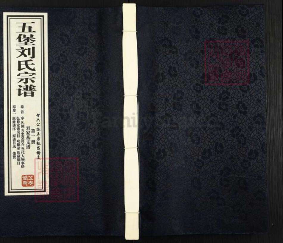 江苏省无锡市江阴市临港街道刘氏五忠堂族谱-五堡刘氏宗谱.pdf电子版缩略图