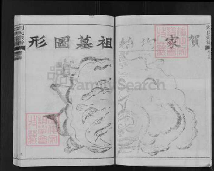 湖北省武汉市新洲区刘氏族谱-刘氏宗谱.pdf电子版预览图4