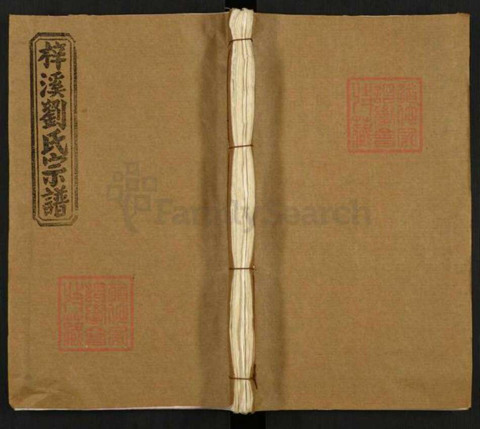 湖南省衡阳市常宁市刘氏族谱-梓溪刘氏宗谱.pdf电子版缩略图