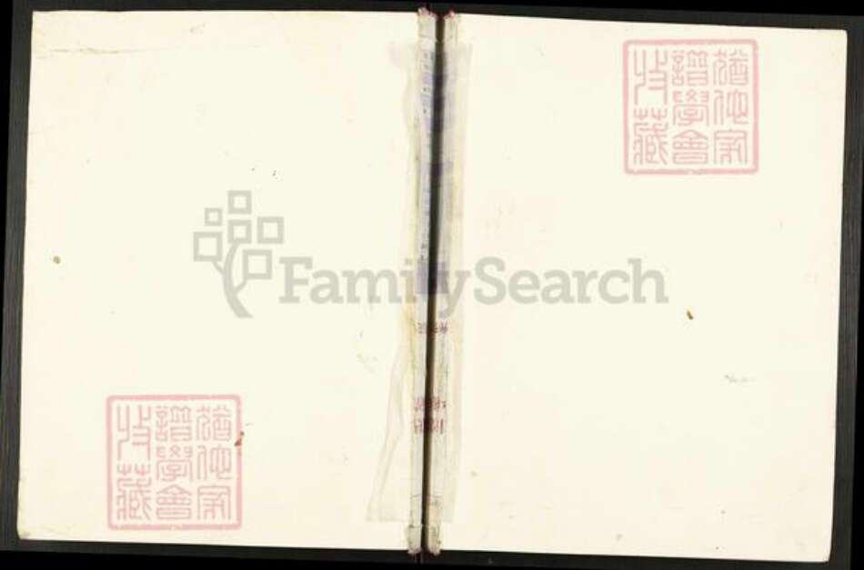 四川省遂宁市大英县金元镇刘氏族谱-刘氏家谱.pdf电子版缩略图