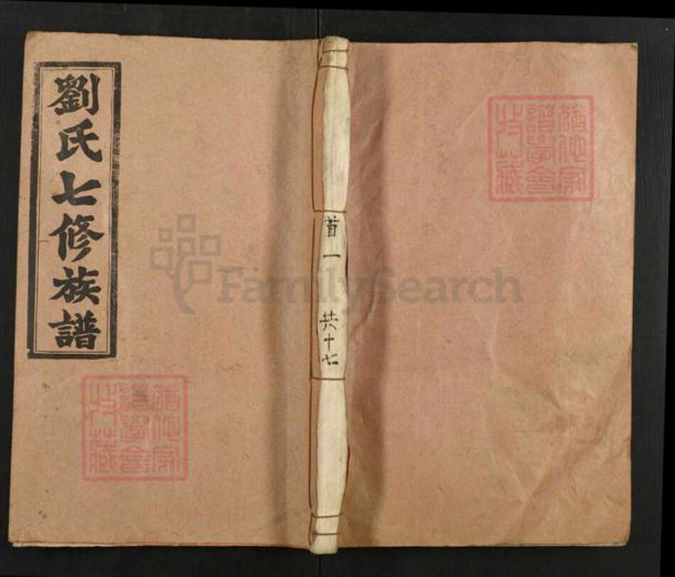 湖南省邵阳市新邵县迎光乡刘氏敦睦堂族谱-坻坪刘氏七修族谱.pdf电子版缩略图