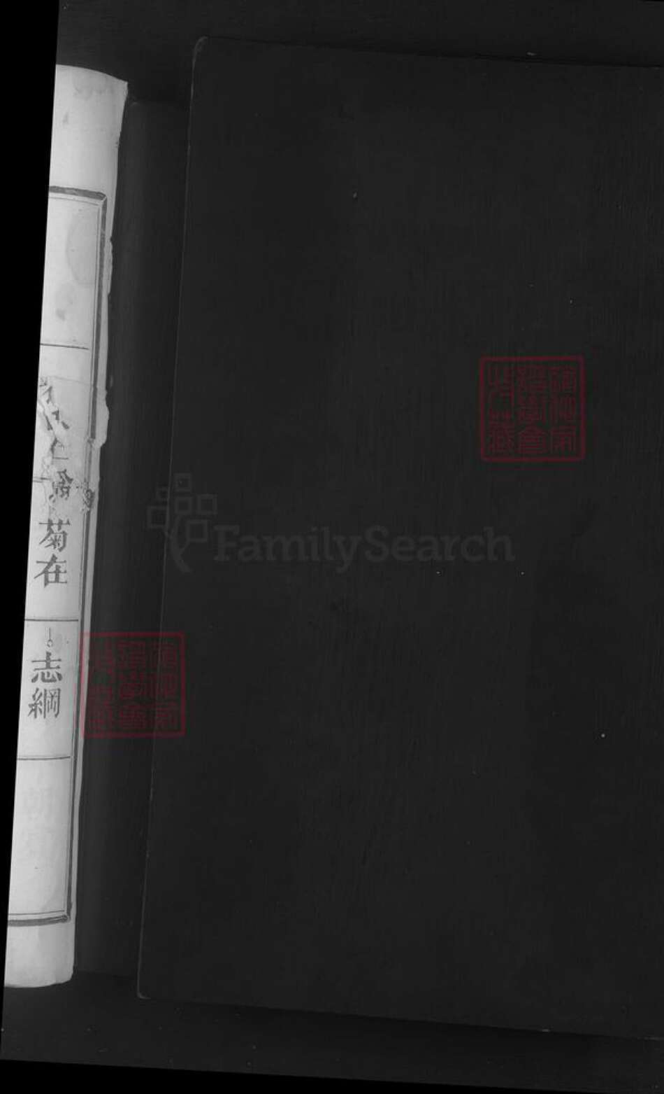 江西省抚州市临川区刘氏族谱-抚州清邑竹塘刘氏初修族谱 [不分卷].pdf电子版预览图2