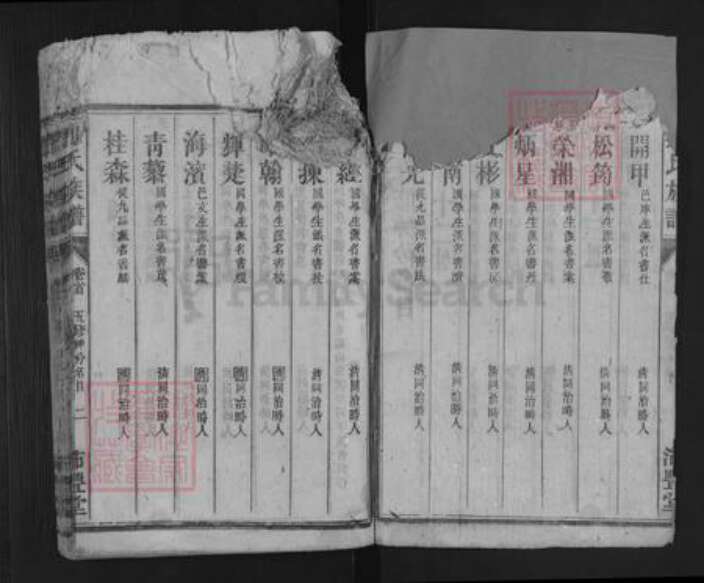 湖南省株洲市炎陵县霞阳镇刘氏沛丰堂族谱-刘氏族谱.pdf电子版预览图2