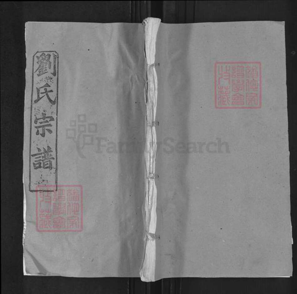 湖北省武汉市新洲区刘氏天禄堂族谱-刘氏家谱.pdf电子版缩略图