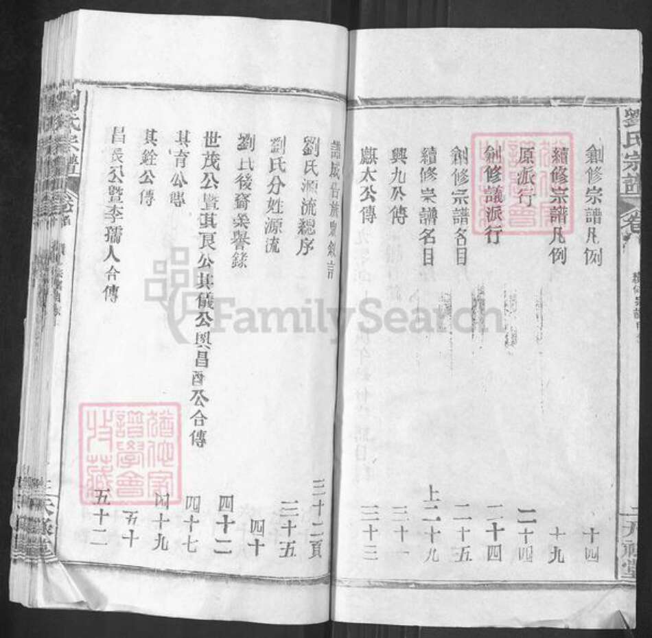 湖北省武汉市新洲区刘氏天禄堂族谱-刘氏家谱.pdf电子版预览图2