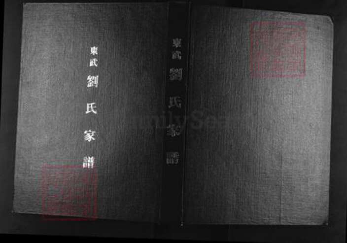 山东省潍坊市高密市注沟镇刘氏族谱-东武刘氏家谱.槎河支谱.pdf电子版缩略图