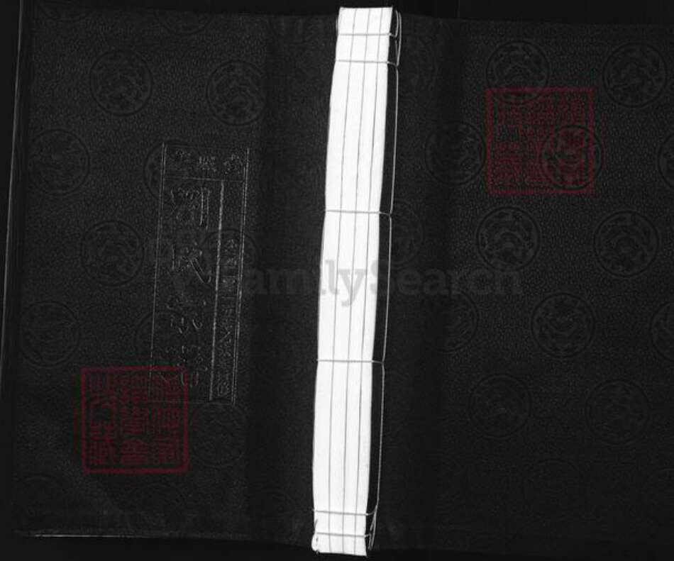 江苏省泰州市兴化市刘氏藜照堂族谱-刘氏宗谱.pdf电子版缩略图