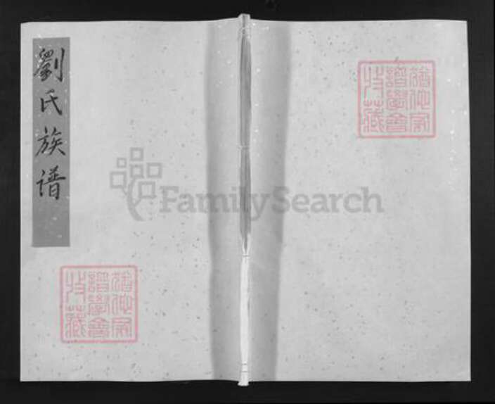 湖南省邵阳市邵阳县刘氏藜光堂族谱-刘氏族谱.pdf电子版缩略图