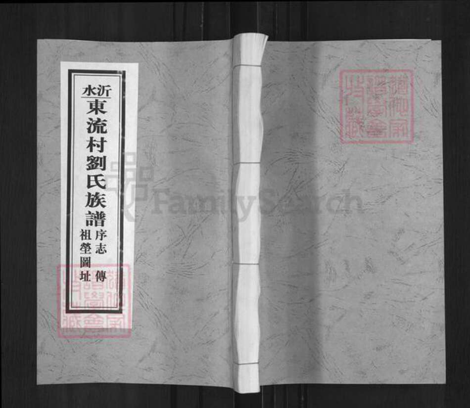 山东省临沂市沂南县大庄镇刘氏族谱-沂水东流村刘氏族谱.pdf电子版缩略图