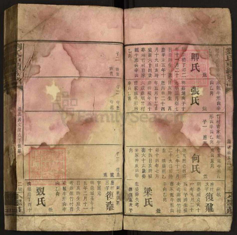 江西省宜春市樟树市刘氏族谱-刘氏重续族谱.pdf电子版预览图2